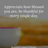 linepoetry linepoetrycom